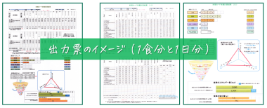 「料理カードを用いた食事診断ソフト」出力票のイメージ