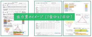 「料理カードを用いた食事診断ソフト」出力票のイメージ